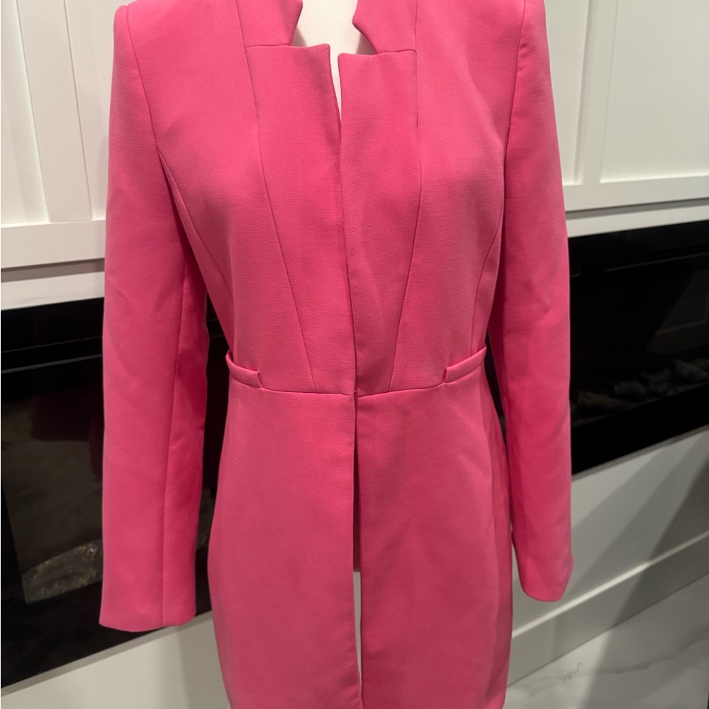 Zara Vibrant Pink Blazer